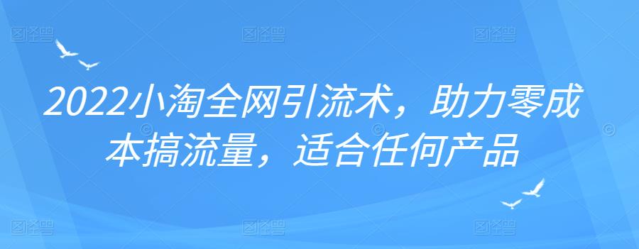 2022年小淘全网引流术，助力零成本搞流量，适合任何产品-BT网赚资源网