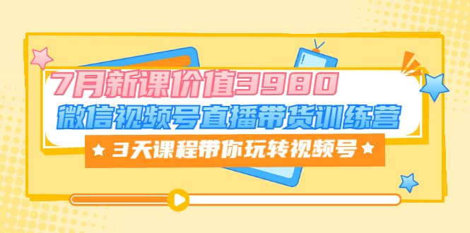 微信视频号直播带货训练营，3天课程带你玩转视频号：7月新课价值3980-BT网赚资源网