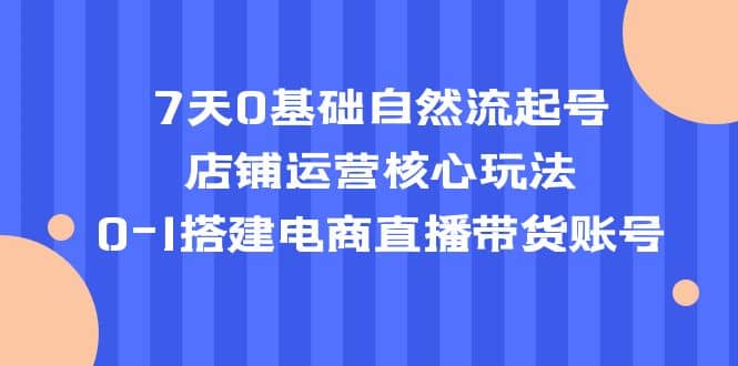 7天0基础自然流起号，店铺运营核心玩法，0-1搭建电商直播带货账号-BT网赚资源网