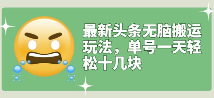 最新头条无脑搬运玩法，单号一天轻松十几块【视频教程 搬运软件】-BT网赚资源网