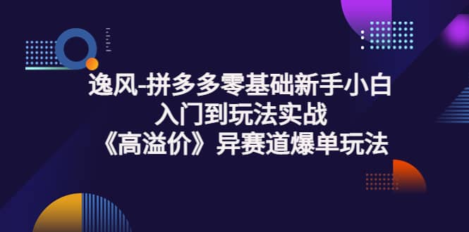 拼多多零基础新手小白入门到玩法实战《高溢价》异赛道爆单玩法实操课-BT网赚资源网