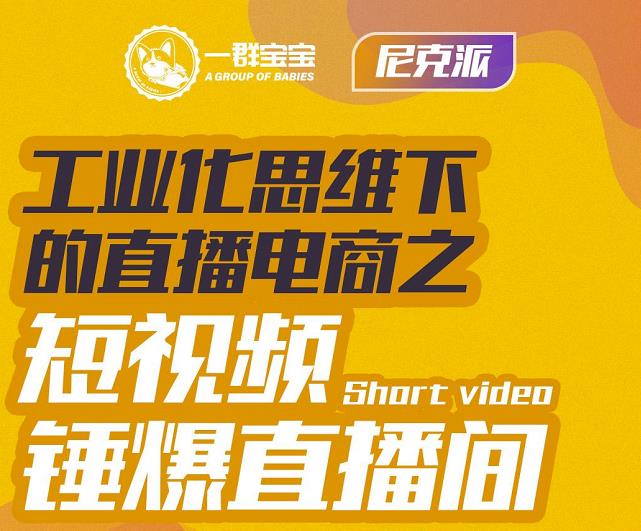 尼克派·工业化思维下的直播电商之短视频锤爆直播间，听话照做执行爆单-BT网赚资源网