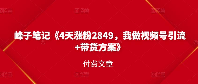 峰子笔记《4天涨粉2849，我做视频号引流 带货方案》付费文章-BT网赚资源网