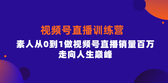 视频号直播训练营，素人从0到1做视频号直播销量百万，走向人生巅峰-BT网赚资源网