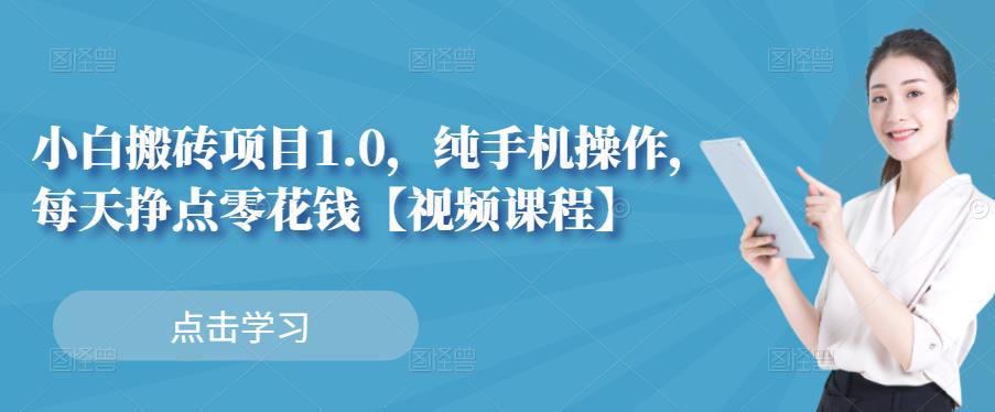 小白搬砖项目1.0，纯手机操作，每天兼职挣点零花钱-BT网赚资源网