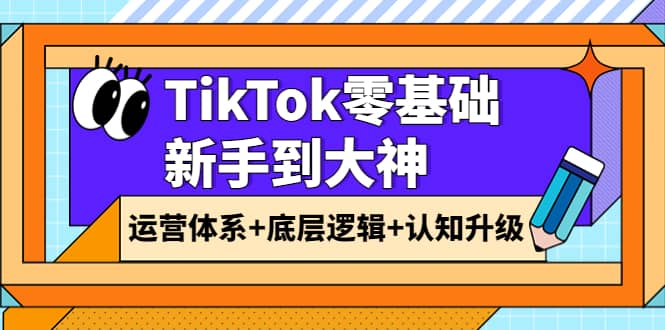 TikTok零基础新手到大神：运营体系 底层逻辑 认知升级（9节系列课）-BT网赚资源网