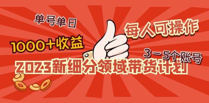 2023新细分领域带货计划：单号单日1000 收益不难，每人可操作3-5个账号-BT网赚资源网