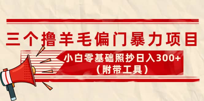 外面卖998的三个撸羊毛项目，小白零基础照抄（附带工具）-BT网赚资源网