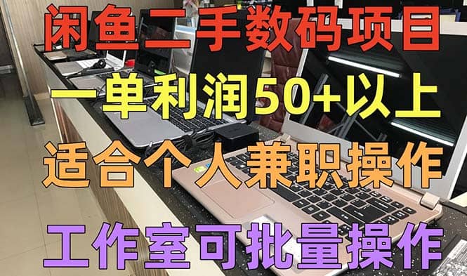 闲鱼二手数码项目，个人副业低保收入，工作室批量放大操作-BT网赚资源网