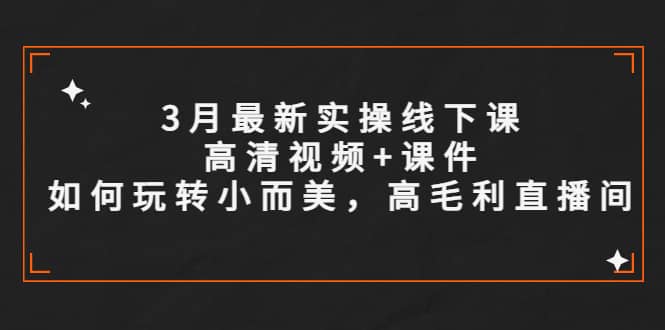 3月最新实操线下课高清视频 课件，如何玩转小而美，高毛利直播间-BT网赚资源网