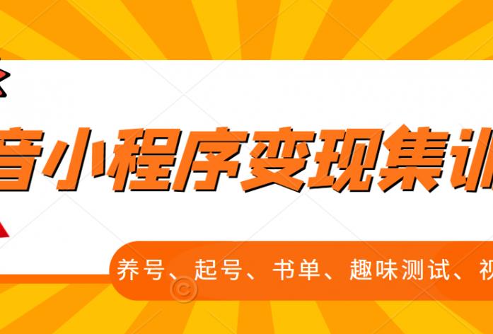 抖音小程序变现集训课，养号、起号、书单、趣味测试、视频剪辑，全套流程-BT网赚资源网