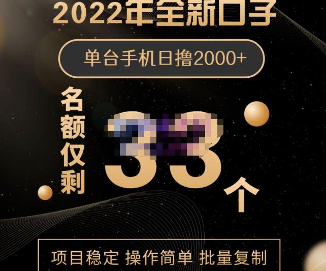 2022年全新口子，手机批量搬砖玩法，一部手机日撸2000-BT网赚资源网