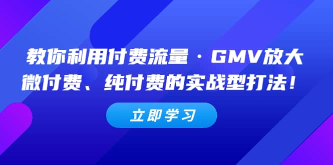 教你利用付费流量·GMV放大，微付费、纯付费的实战型打法-BT网赚资源网