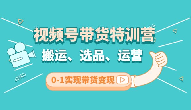 视频号带货特训营(第3期)：搬运、选品、运营、0-1实现带货变现-BT网赚资源网