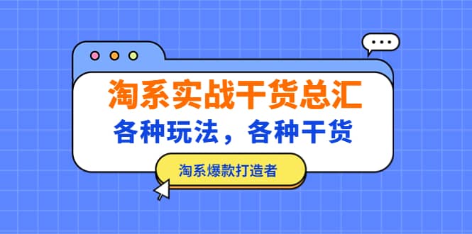 淘系实战干货总汇：各种玩法，各种干货，淘系爆款打造者-BT网赚资源网