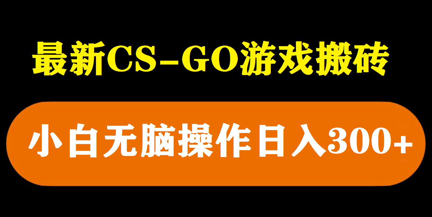 最新csgo游戏搬砖游戏，无需挂机小白无脑也能日入300-BT网赚资源网