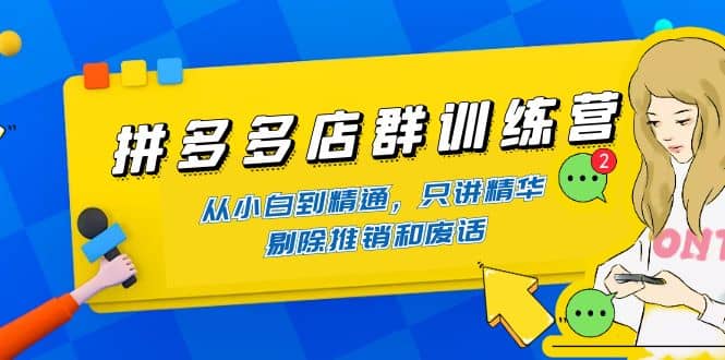 拼多多店群训练营：从小白到精通，只讲精华，剔除推销和废话-BT网赚资源网