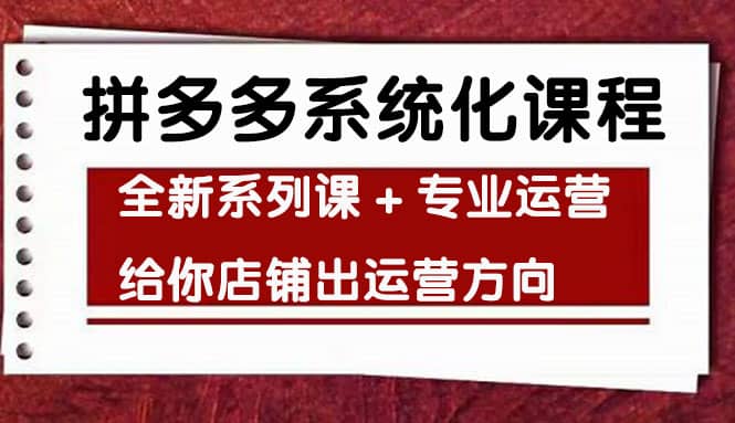 车神陪跑，拼多多系统化课程，全新系列课 专业运营给你店铺出运营方向-BT网赚资源网