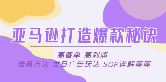 亚马逊打造爆款秘诀：高客单 高利润 推品方法 类目广告玩法 SOP详解等等-BT网赚资源网