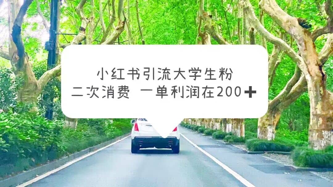 小红书引流大学生粉，变现项目，一单利润在200 （教程 资源）-BT网赚资源网