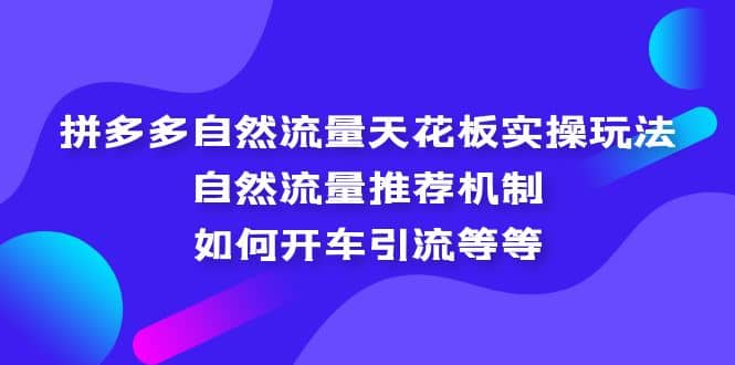 拼多多自然流量天花板实操玩法：自然流量推荐机制，如何开车引流等等-BT网赚资源网