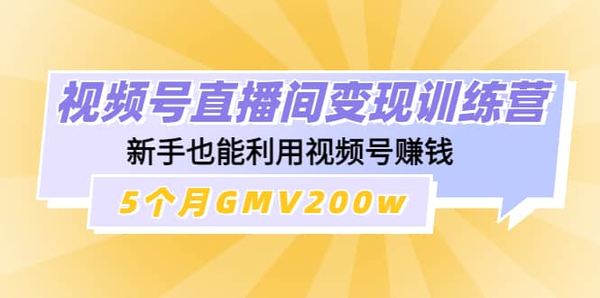 视频号直播间变现训练营-BT网赚资源网