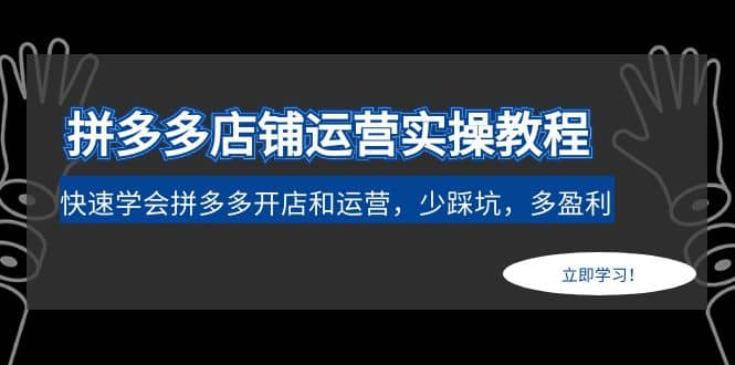 拼多多店铺运营实操教程：快速学会拼多多开店和运营，少踩坑，多盈利-BT网赚资源网