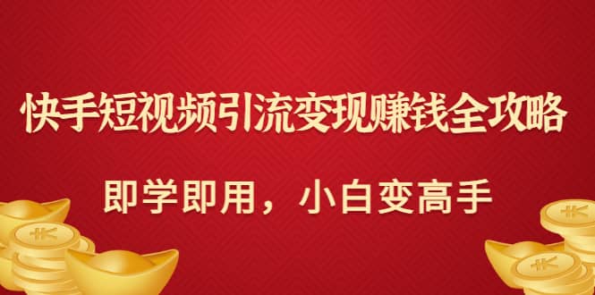 快手短视频引流变现赚钱全攻略：即学即用，小白变高手（价值980元）-BT网赚资源网