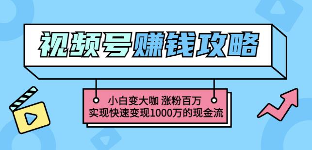 玩转微信视频号赚钱：小白变大咖涨粉百万实现快速变现1000万的现金流-BT网赚资源网