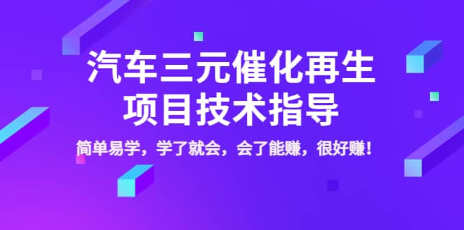 汽车三元催化再生项目技术指导，简单易学，学了就会，会了能赚，很好赚！-BT网赚资源网