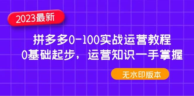 2023拼多多0-100实战运营教程，0基础起步，运营知识一手掌握（无水印）-BT网赚资源网