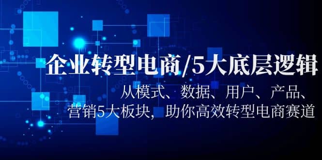 企业转型电商/5大底层逻辑，从模式 数据 用户 产品 营销5大板块，高效转型-BT网赚资源网