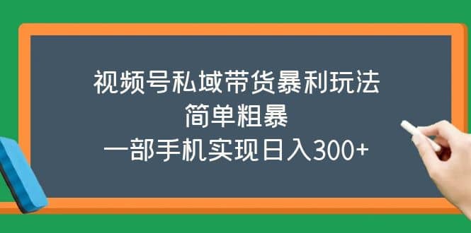 视频号私域带货暴利玩法，简单粗暴-BT网赚资源网