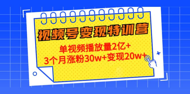 20天视频号变现特训营：单视频播放量2亿-BT网赚资源网