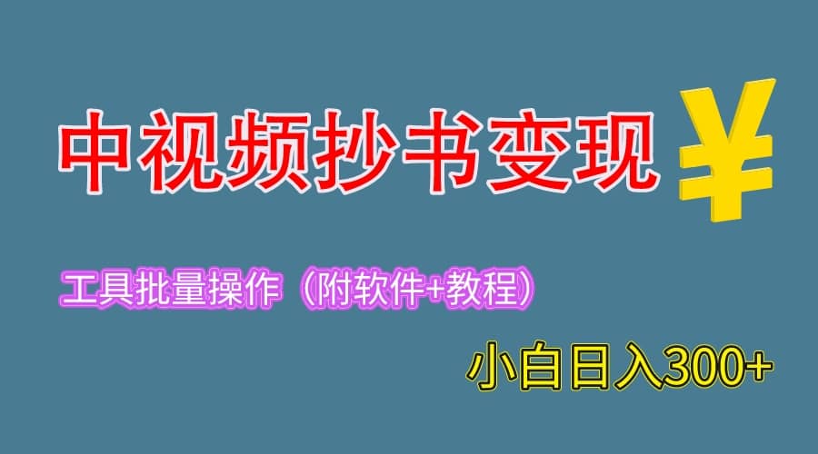 2023中视频抄书变现（附工具 教程），一天300 ，特别适合新手操作的副业-BT网赚资源网