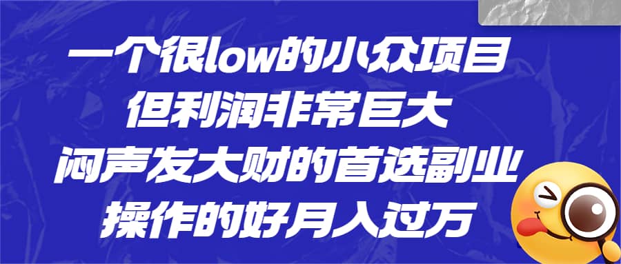 一个很low的小众项目，但利润非常巨大，闷声发大财的首选副业，月入过万-BT网赚资源网