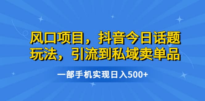 风口项目，抖音今日话题玩法，引流到私域卖单品，一部手机实现日入500-BT网赚资源网