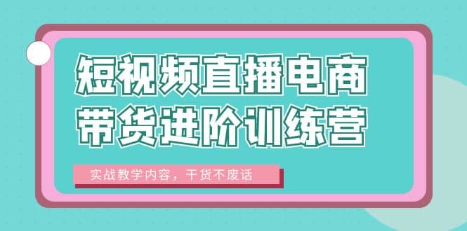 短视频直播电商带货进阶训练营：实战教学内容，干货不废话-BT网赚资源网