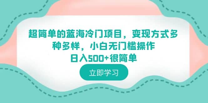 超简单的蓝海冷门项目，变现方式多种多样，小白无门槛操作日入500 很简单-BT网赚资源网