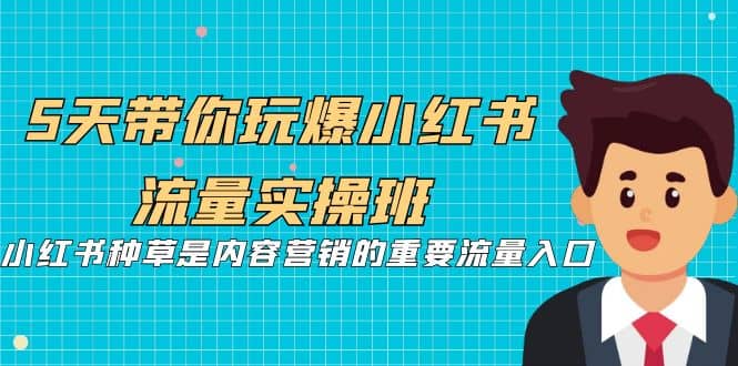 5天带你玩爆小红书流量实操班，小红书种草是内容营销的重要流量入口-BT网赚资源网