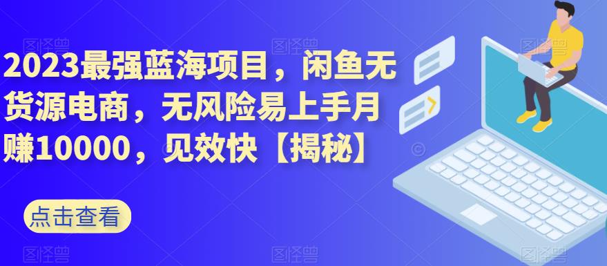 2023最强蓝海项目，闲鱼无货源电商，无风险易上手月赚10000，见效快【揭秘】-BT网赚资源网