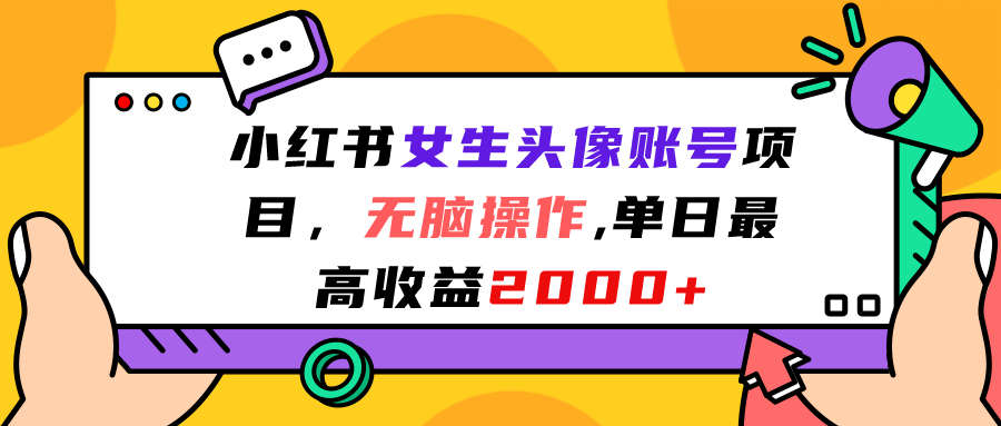 小红书女生头像账号项目，无脑操作，单日最高收益2000-BT网赚资源网