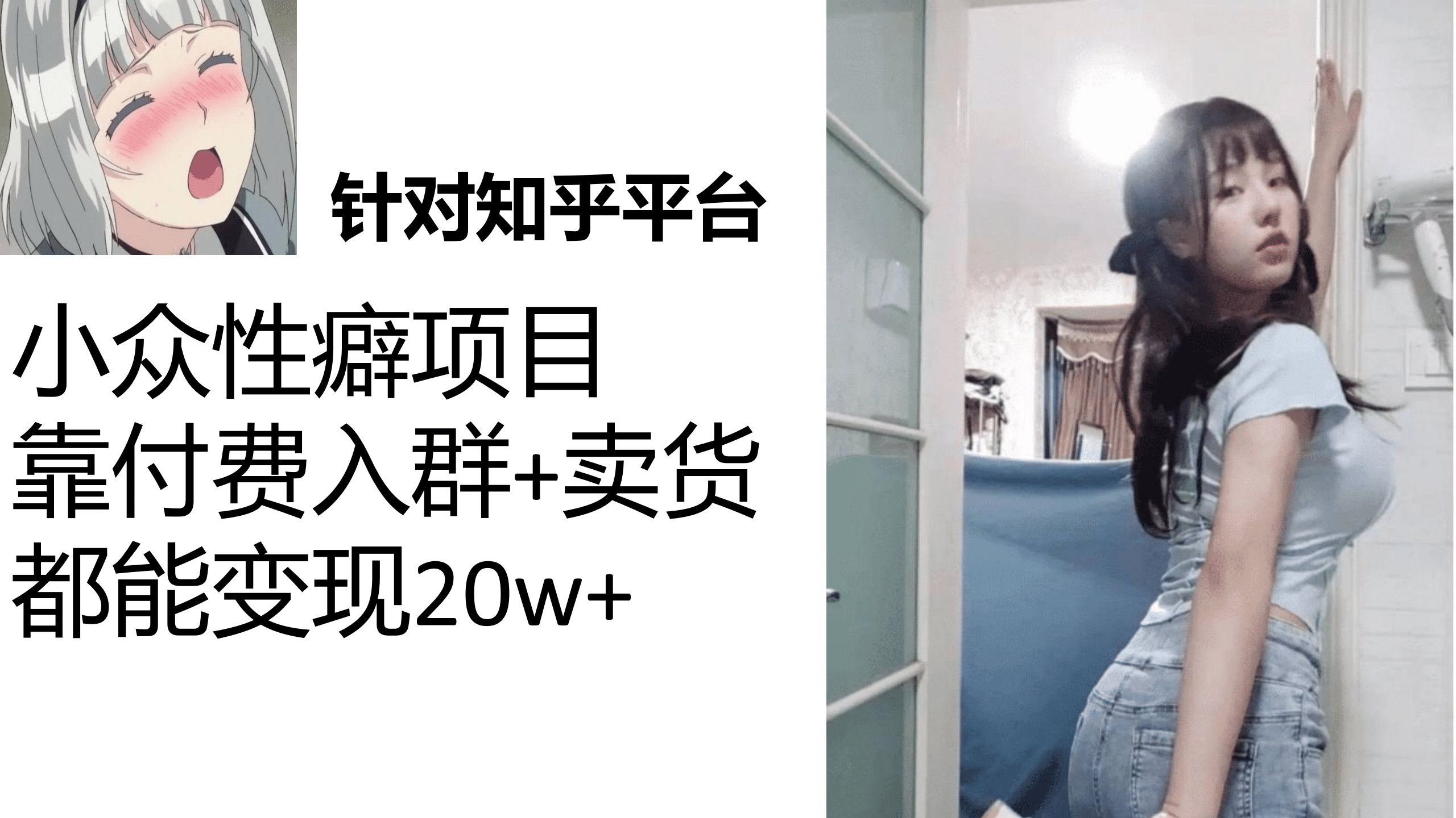 知乎小众性癖项目，Lsp的钱才是最好赚的，付费建群 卖货变现20w-BT网赚资源网