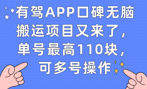 有驾APP口碑无脑搬运项目又来了，单号最高110块，可多号操作-BT网赚资源网