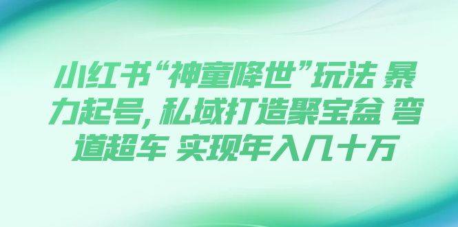 小红书“神童降世”玩法 暴力起号,私域打造聚宝盆 弯道超车 实现年入几十万-BT网赚资源网