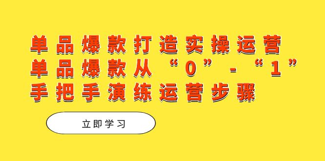 单品爆款打造实操运营，单品爆款从“0”-“1”手把手演练运营步骤-BT网赚资源网