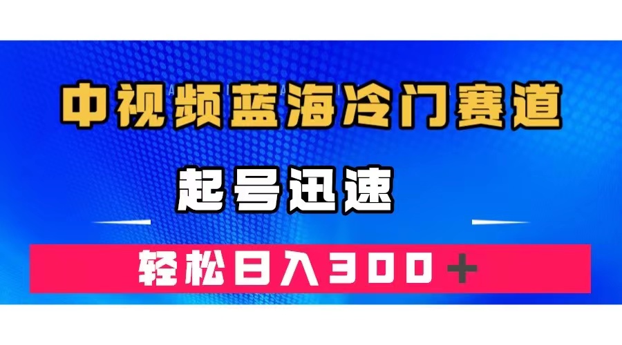 中视频蓝海冷门赛道，韩国视频奇闻解说，起号迅速，日入300＋-BT网赚资源网