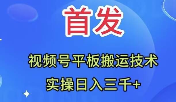 全网首发：视频号平板搬运技术，实操日入三千＋-BT网赚资源网