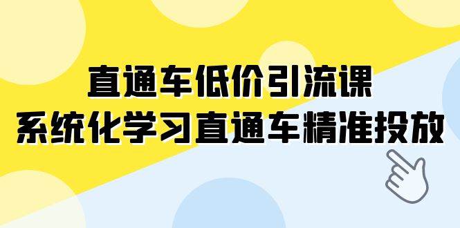 直通车-低价引流课，系统化学习直通车精准投放（14节课）-BT网赚资源网