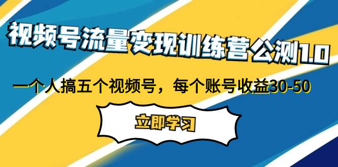 视频号流量变现训练营公测1.0：一个人搞五个视频号，每个账号收益30-50-BT网赚资源网